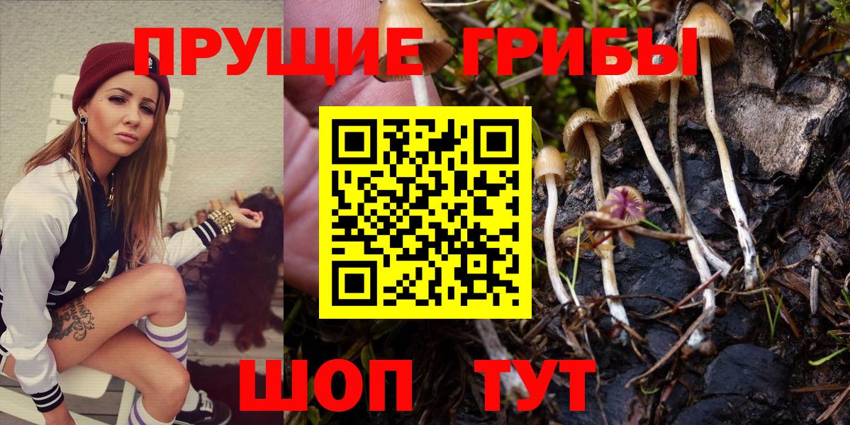 Кулебаки  Галлюциногенные грибы GOLDEN TEACHER  Галлюциногенные грибы мухоморы  Вход с VPN 