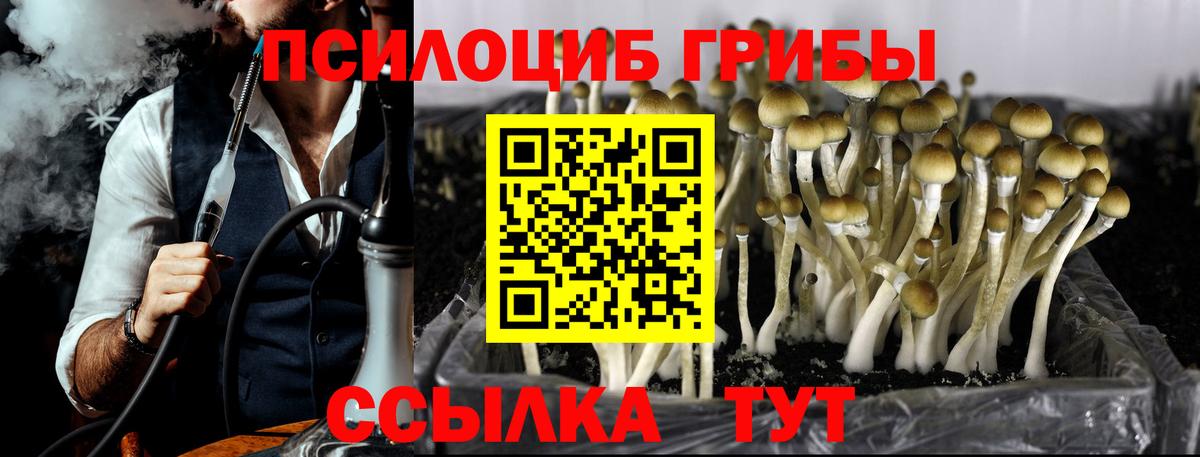 Галлюциногенные грибы Cubensis Кулебаки